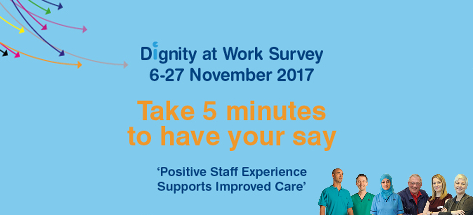 Dignity at Work survey